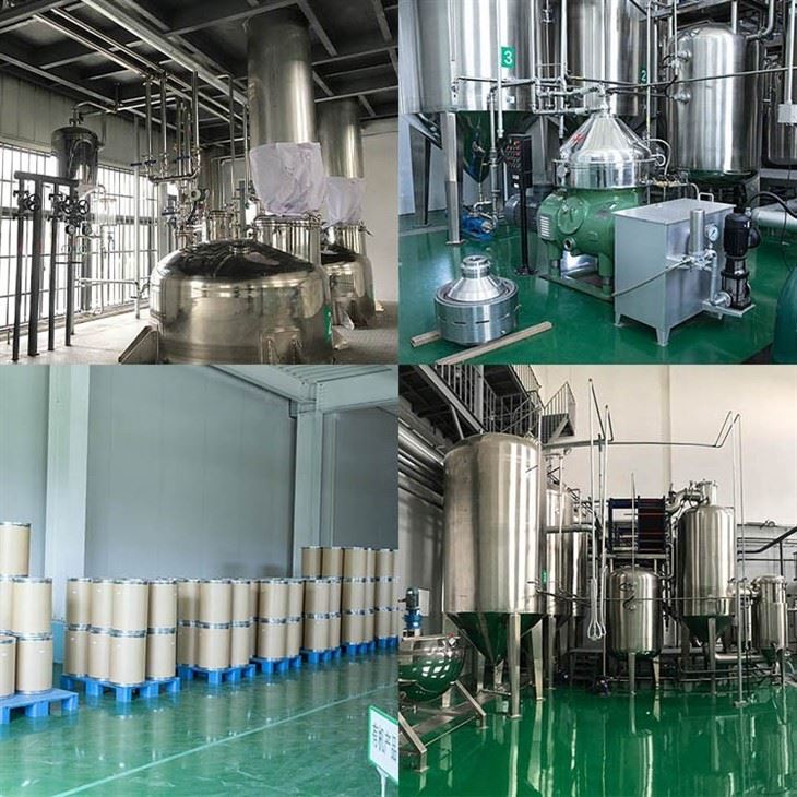 Organic Watermelon Juice Powder factory